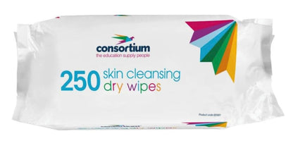 Consortium Dry Skin Cleansing Wipes – 250 Disposable, Lint-Free Large Wipes (26x20cm) – Soft & Absorbent for Baby Care, Incontinence, Personal Hygiene, Patient Use